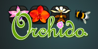 Orchido