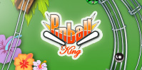 Pinball King