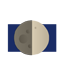 mond-07-z